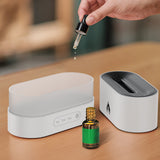 Silent flame aromatherapy machine, humidifier, atmosphere light, home decor.